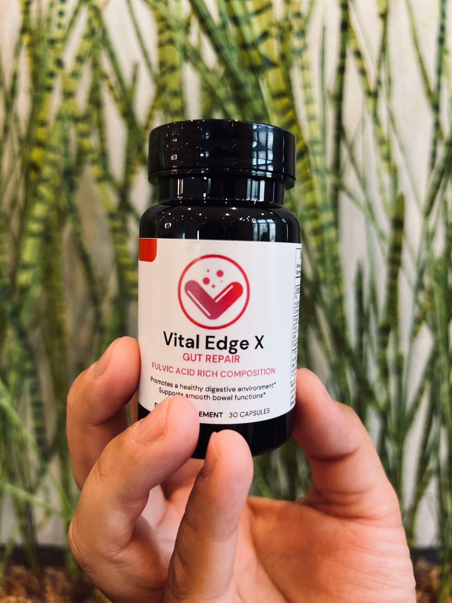 Vital Edge X ™ - Gut Repair